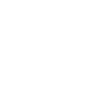 budget_icon